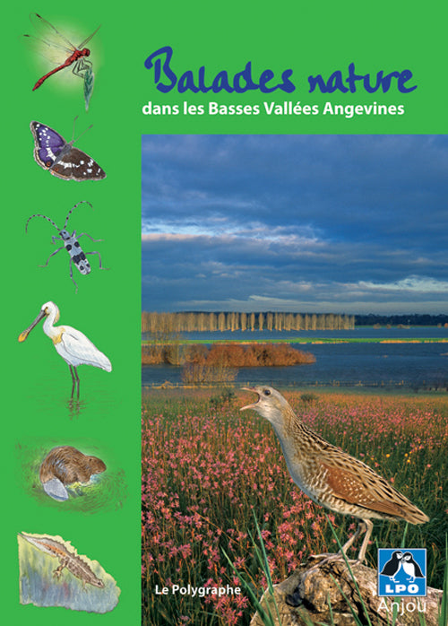 Balades nature dans les basses vallées angevines