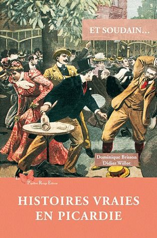 Et soudain... : Histoires vraies en Picardie