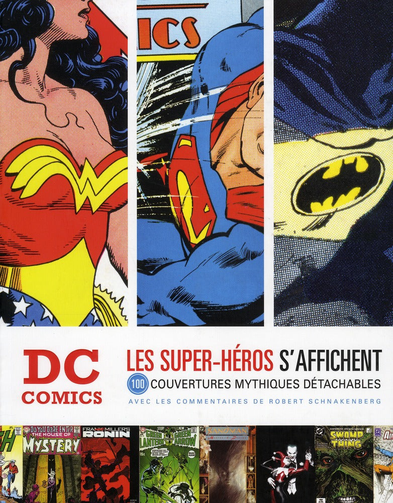 DC comics ; le livre poster - flash vidéo
