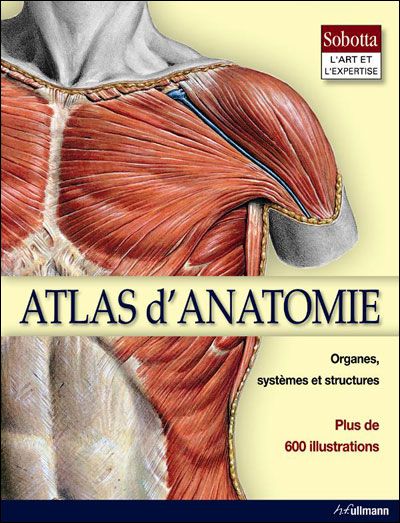 Atlas d'anatomie ; organes, systèmes et structures