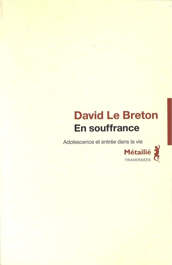 En souffrance : adolescence et entrée dans la vie