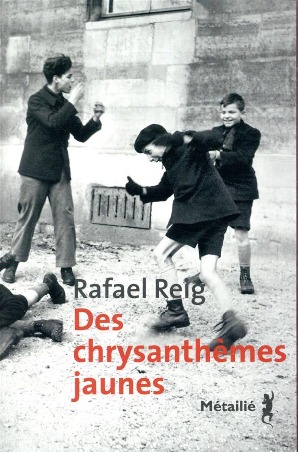 Des chrysanthèmes jaunes