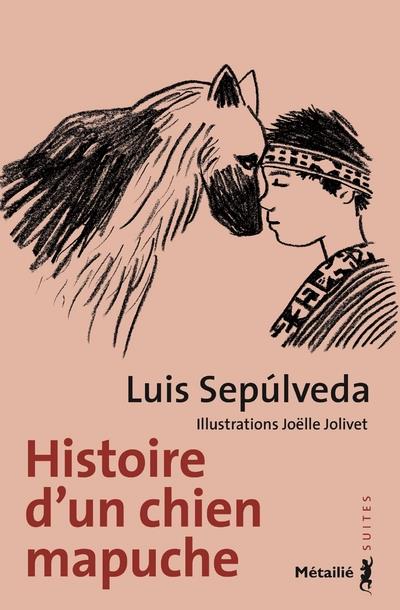 Histoire d'un chien mapuche - flash vidéo