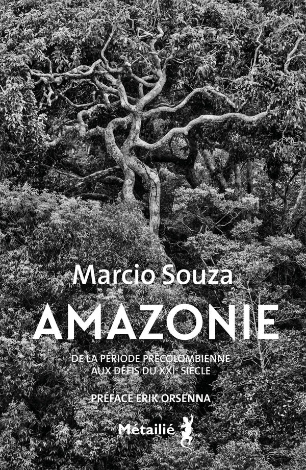 Amazonie : De la période précolombienne aux défis du XXIe siècle