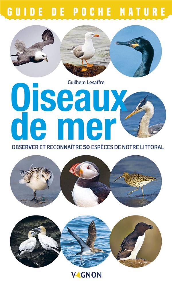 Oiseaux de bord de mer ; observer et reconnaître 50 espèces de notre littoral - flash vidéo