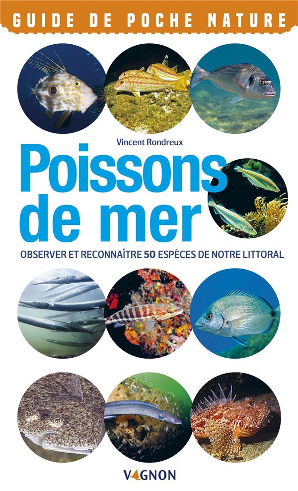 Poissons de mer ; observer et reconnaître 50 espèces de notre littoral - flash vidéo