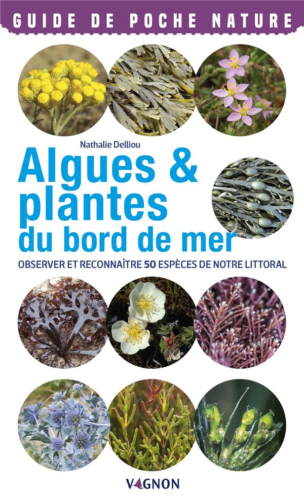 Algues & plantes du bord de mer ; observer et reconnaître 50 espèces de notre littoral - flash vidéo
