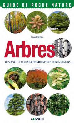 Arbres ; observer et reconnaitre 40 espèces de nos régions - flash vidéo