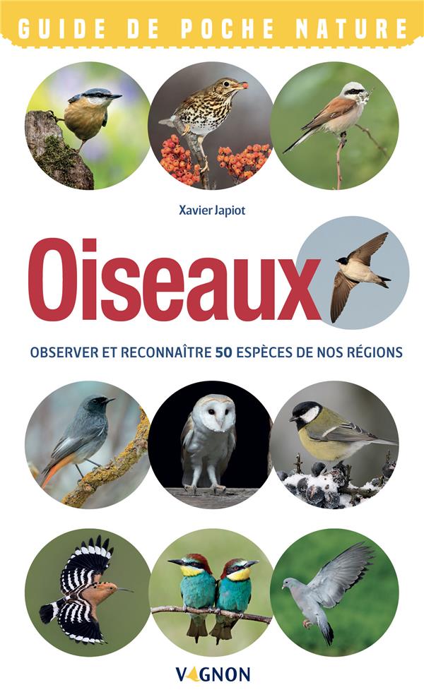 Oiseaux : observer et reconnaitre 50 espèces de nos régions - flash vidéo
