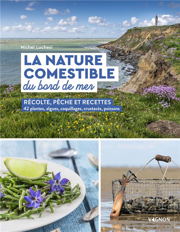 La nature comestible du bord de mer - flash vidéo