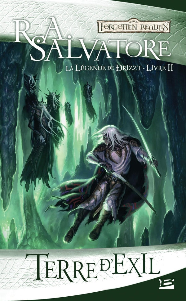 Les Royaumes Oubliés - la légende de Drizzt Tome 2 : terre d'exil