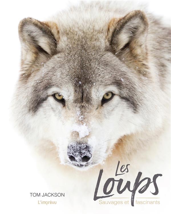 Les loups ; sauvages et fascinants - flash vidéo