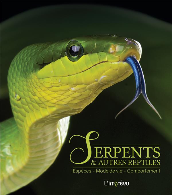 Serpents & autres reptiles : espèces, mode de vie, comportement - flash vidéo