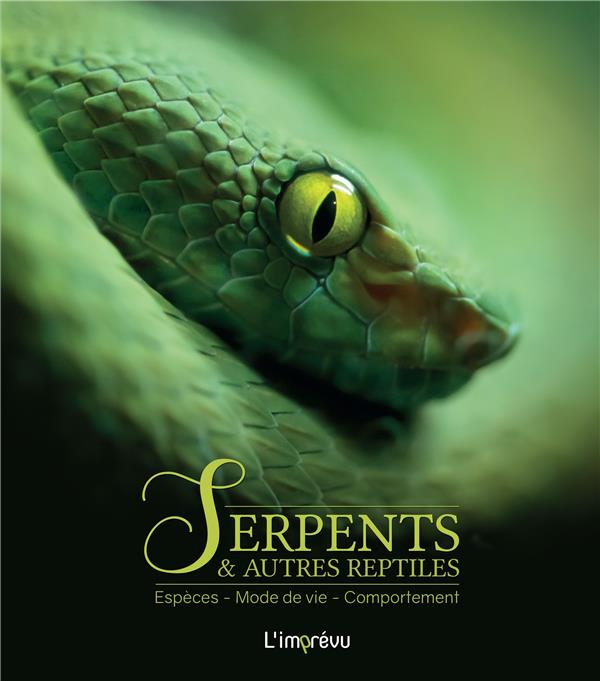 Serpents et autres reptiles : espèces, mode de vie, comportement - flash vidéo