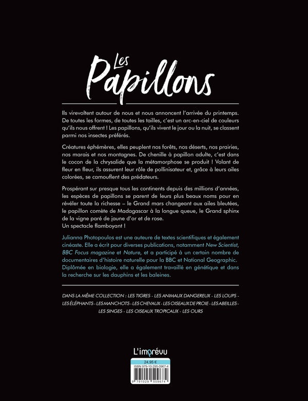 Les papillons : éphémères et chatoyants