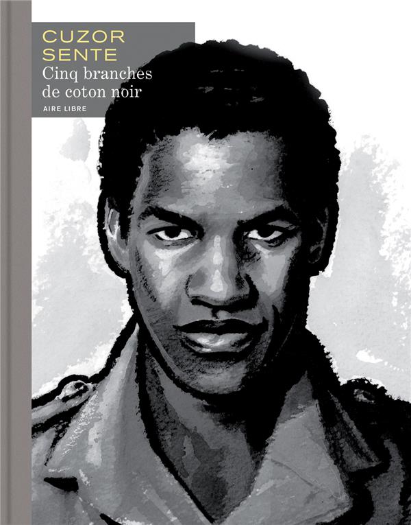 Cinq branches de coton noir - flash vidéo