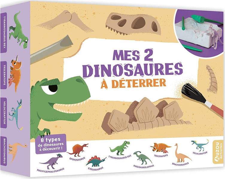 Mes 2 dinosaures à déterrer - flash vidéo