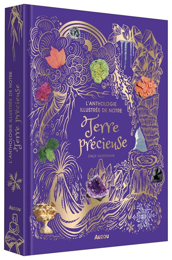 L'anthologie illustrée de notre Terre précieuse - flash vidéo