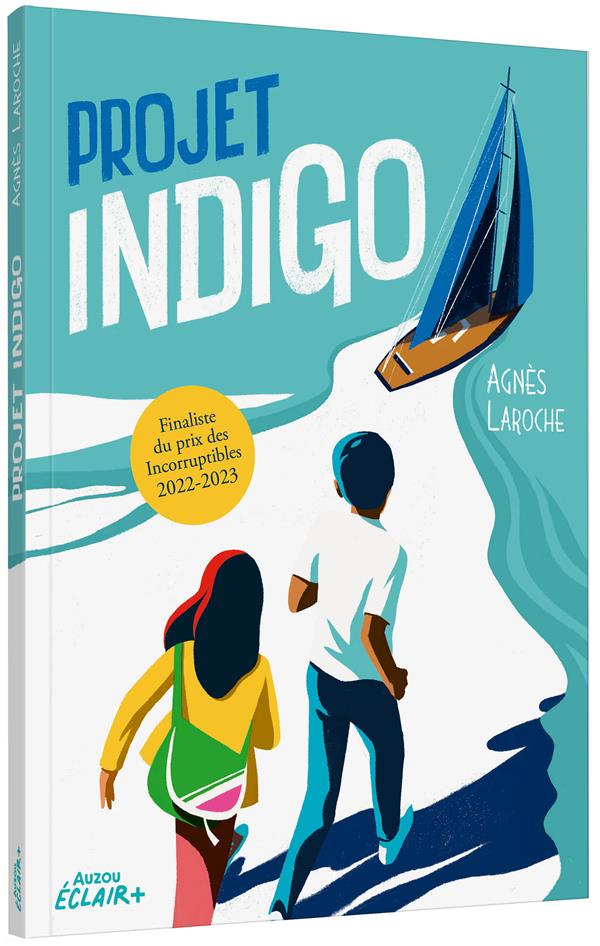 Projet indigo - flash vidéo