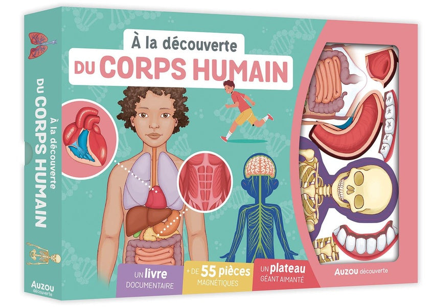Du corps humain - flash vidéo