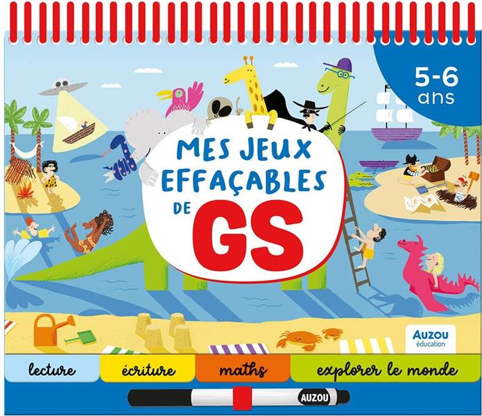 Mes jeux effaçables de GS - flash vidéo
