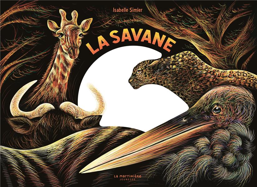 La savane, une nuit... - flash vidéo