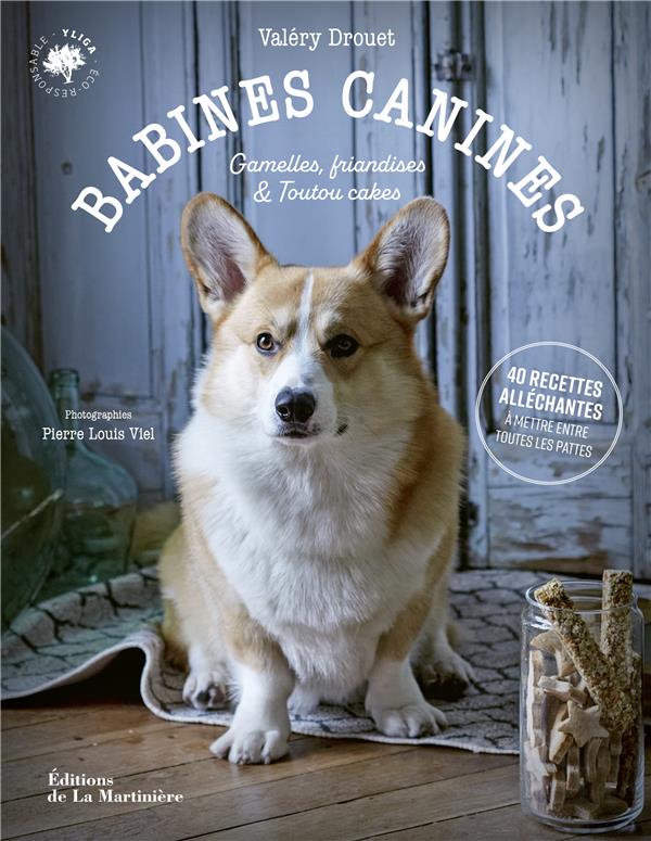 Babines canines : gamelles, friandises & toutou cakes (40 recettes alléchantes à mettre entre toutes les pattes) - flash vidéo
