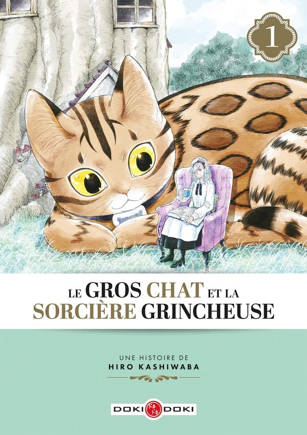 Le gros chat et la sorciere grincheuse Tome 1 : le gros chat et la sorciere grincheuse
