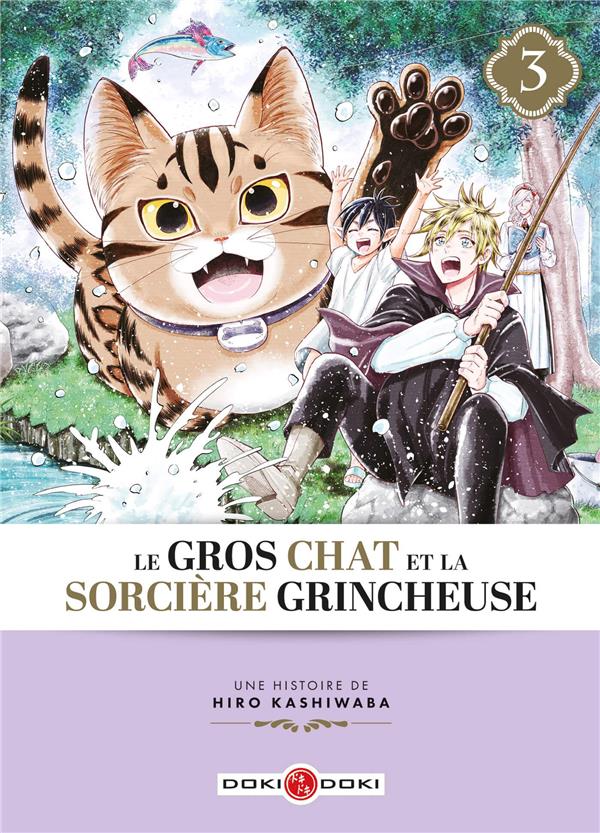 Le gros chat et la sorciere grincheuse Tome 3