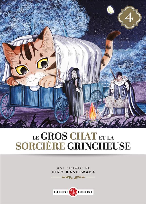 Le gros chat et la sorciere grincheuse Tome 4