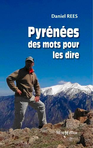 Les Pyrénées en face - flash vidéo