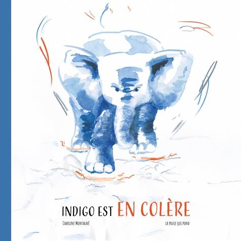 Indigo est en colère - flash vidéo