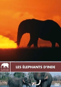 Les Eléphants d'Inde [DVD]