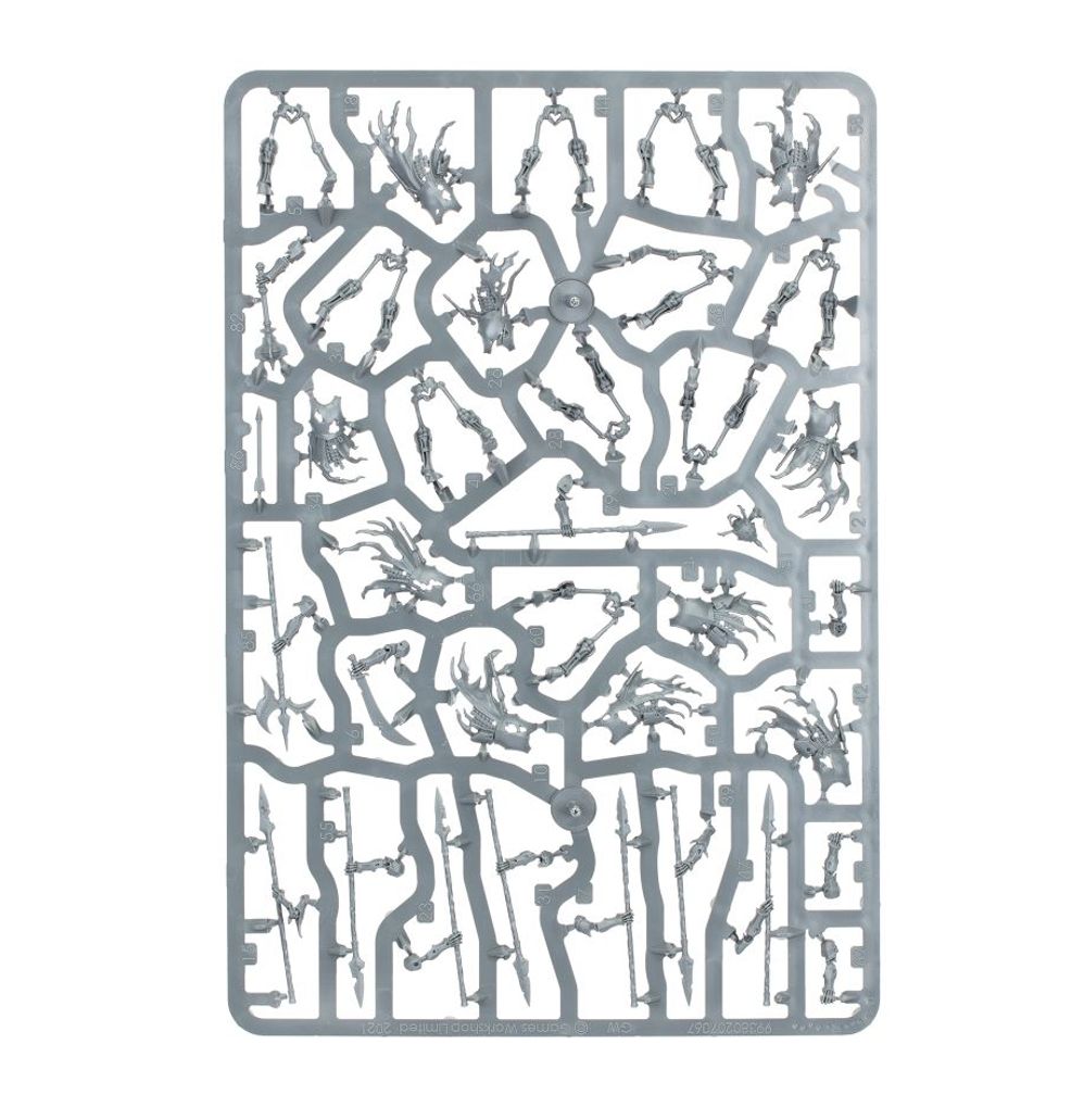 Deathrattle Skeletons - flash vidéo