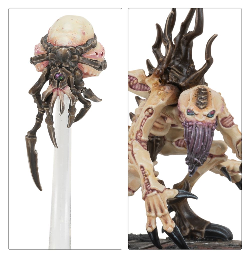 MALSTRAIN GENESTEALER ABOMINATION GANG - flash vidéo