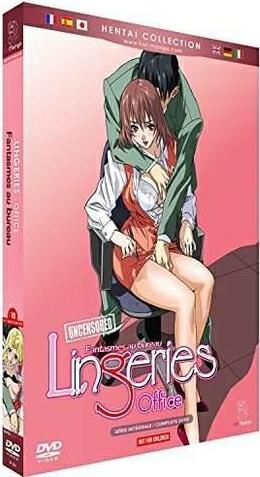 Lingeries (fantasmes au bureau) [DVD]