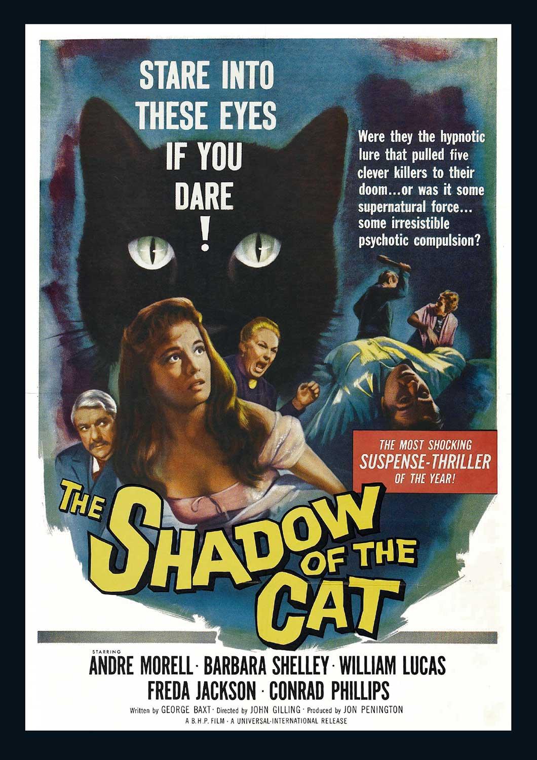 Le Spectre du chat [DVD]