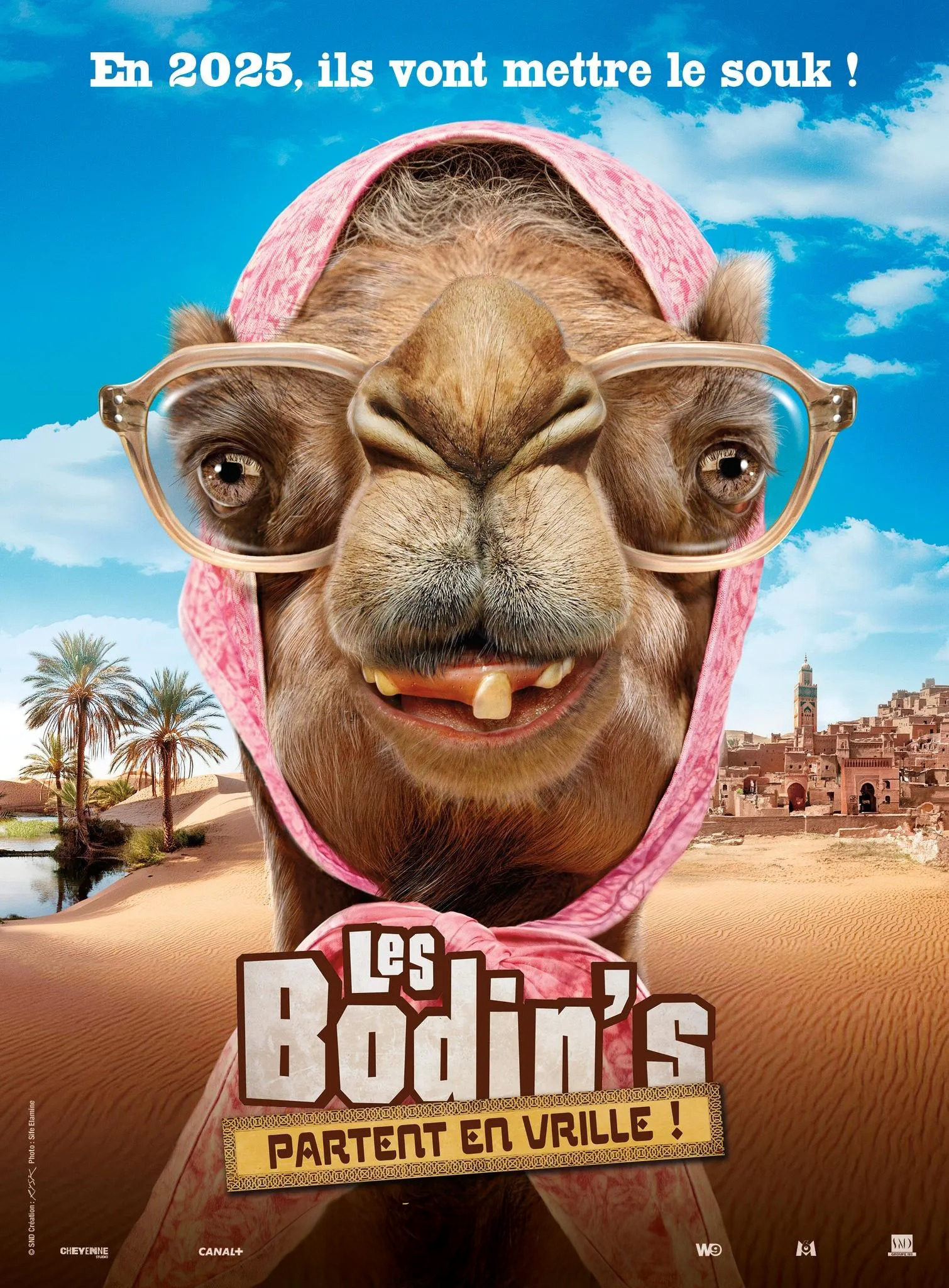 Les Bodin's partent en vrille [DVD à la location]
