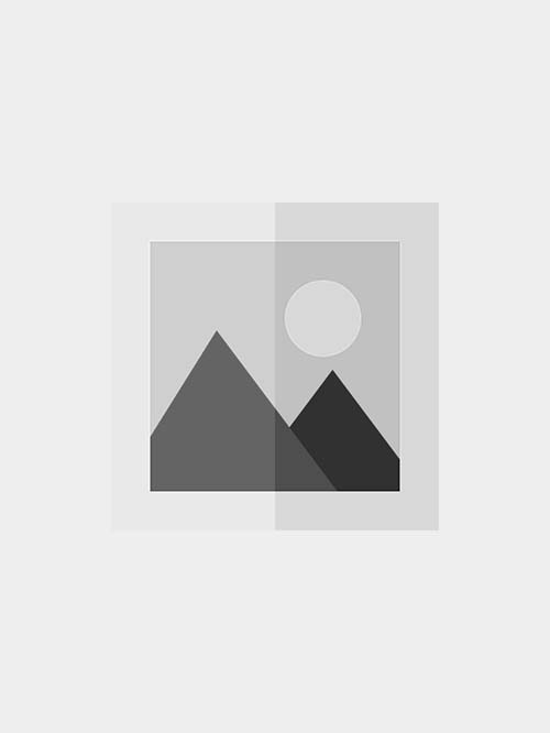 Foo Fighters - Live at Wembley Stadium [undefined]