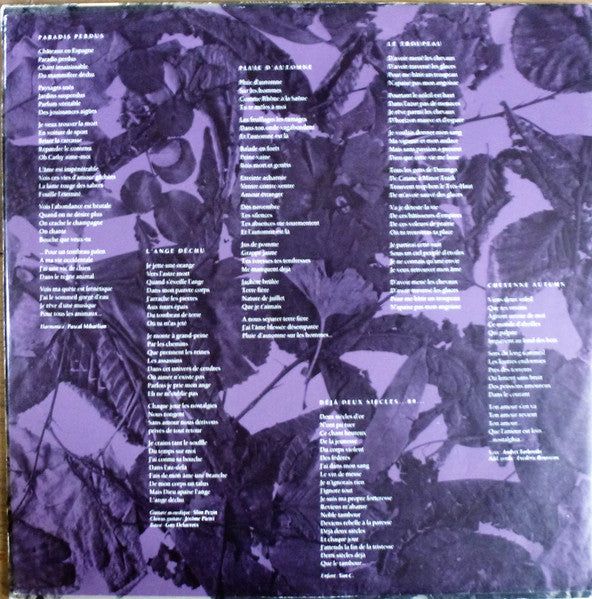 (occasion) Jean Louis Murat – Cheyenne Autumn [Vinyle 33 Tours]