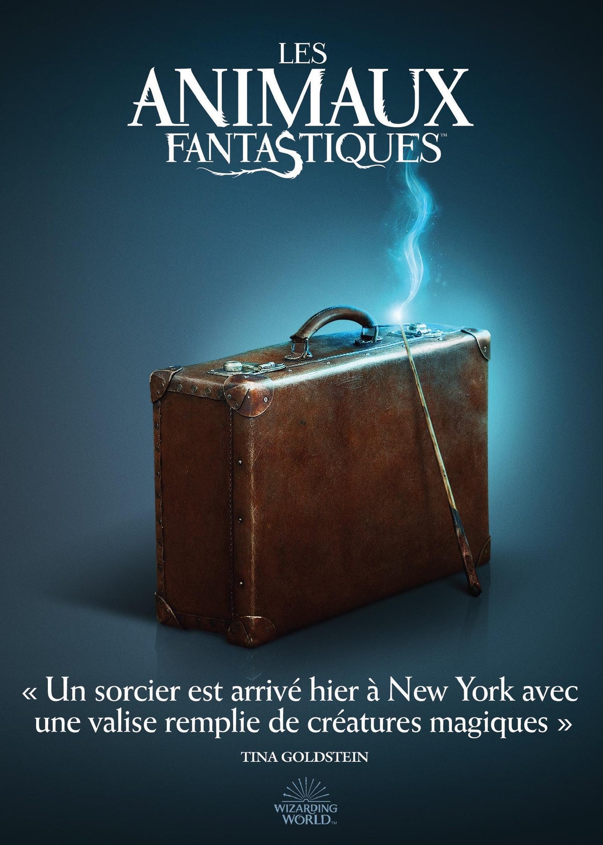 Les Animaux fantastiques [DVD]