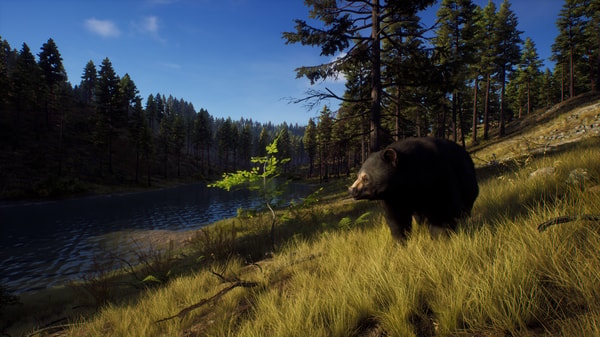 Way of the Hunter - Hunting Season One - flash vidéo