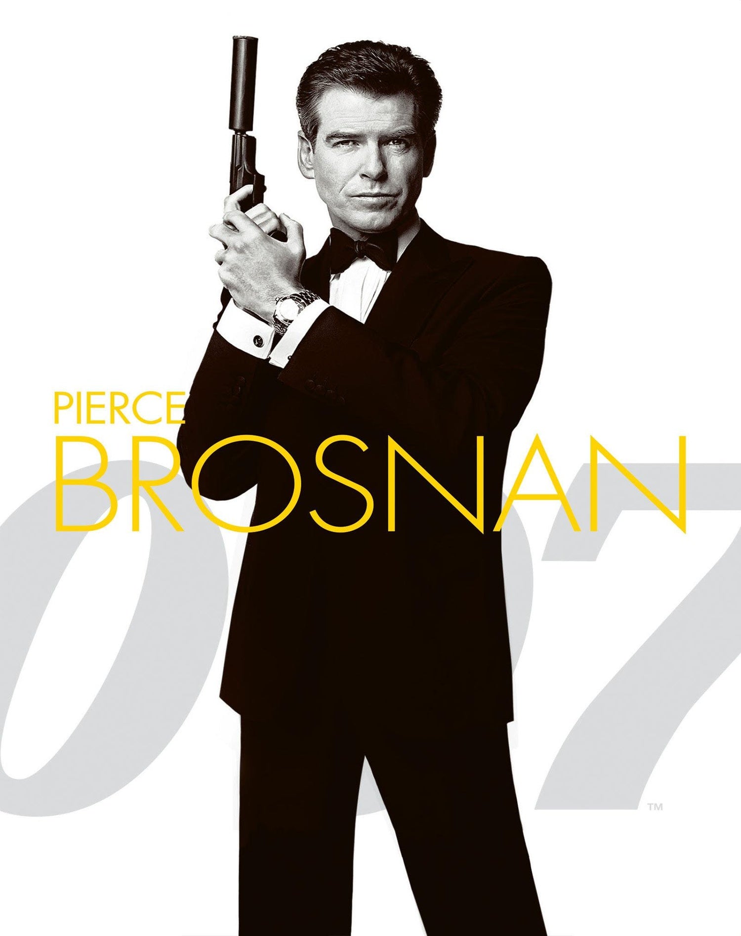 La Collection James Bond - Coffret Pierce Brosnan [DVD]
