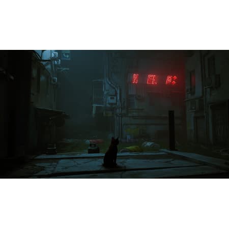Stray - flash vidéo