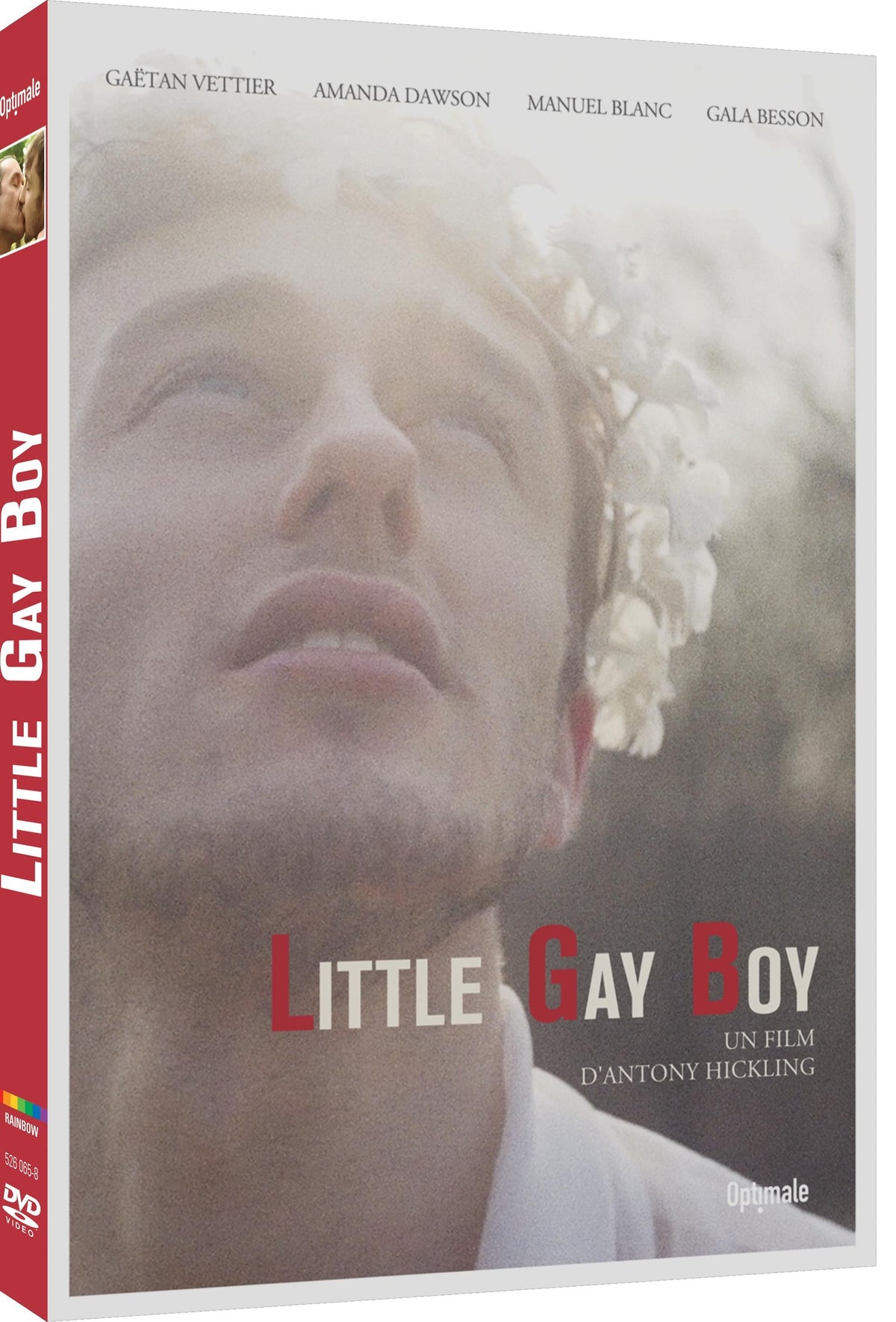 Little Gay Boy [DVD]