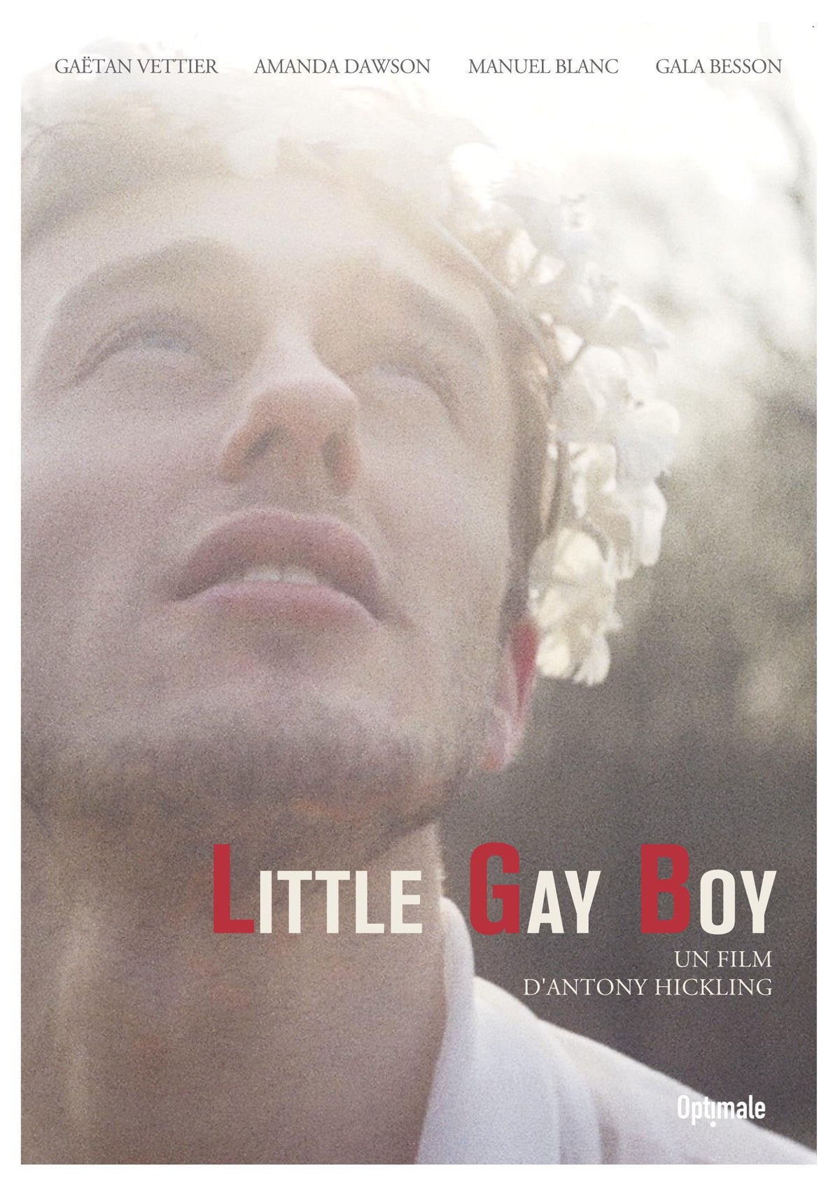 Little Gay Boy [DVD]