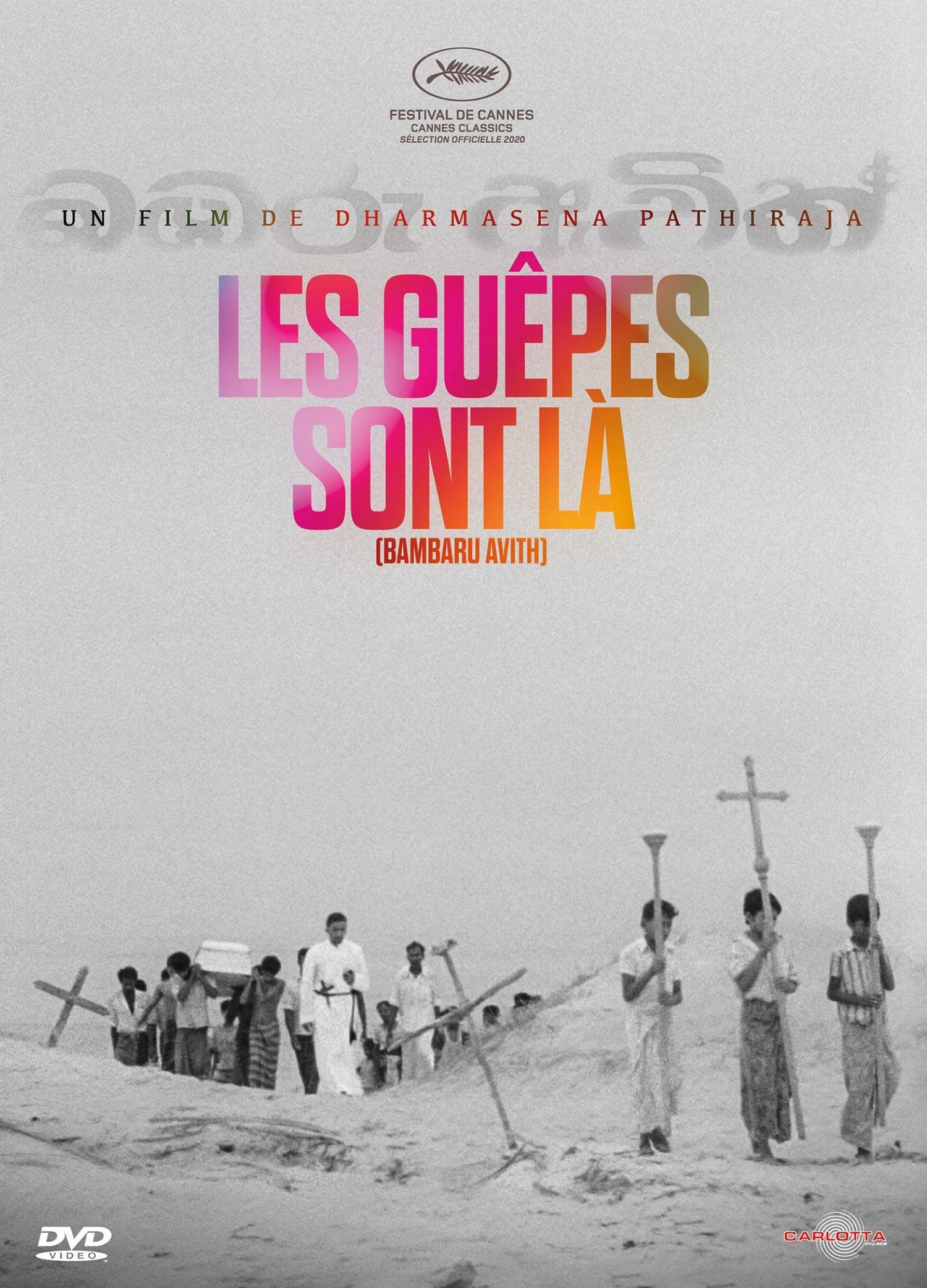 Les Guêpes sont là [DVD]