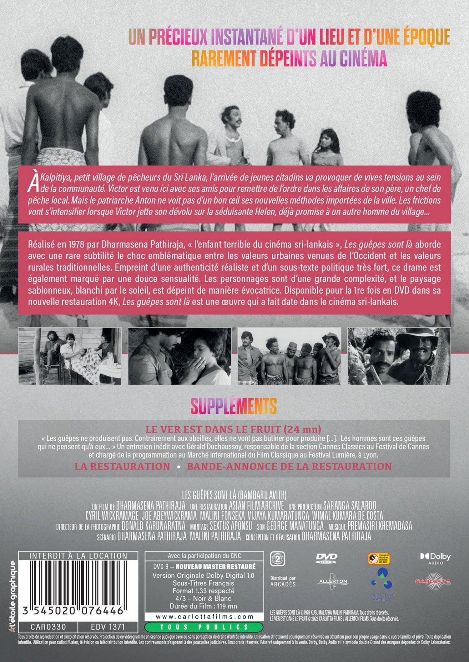 Les Guêpes sont là [DVD]