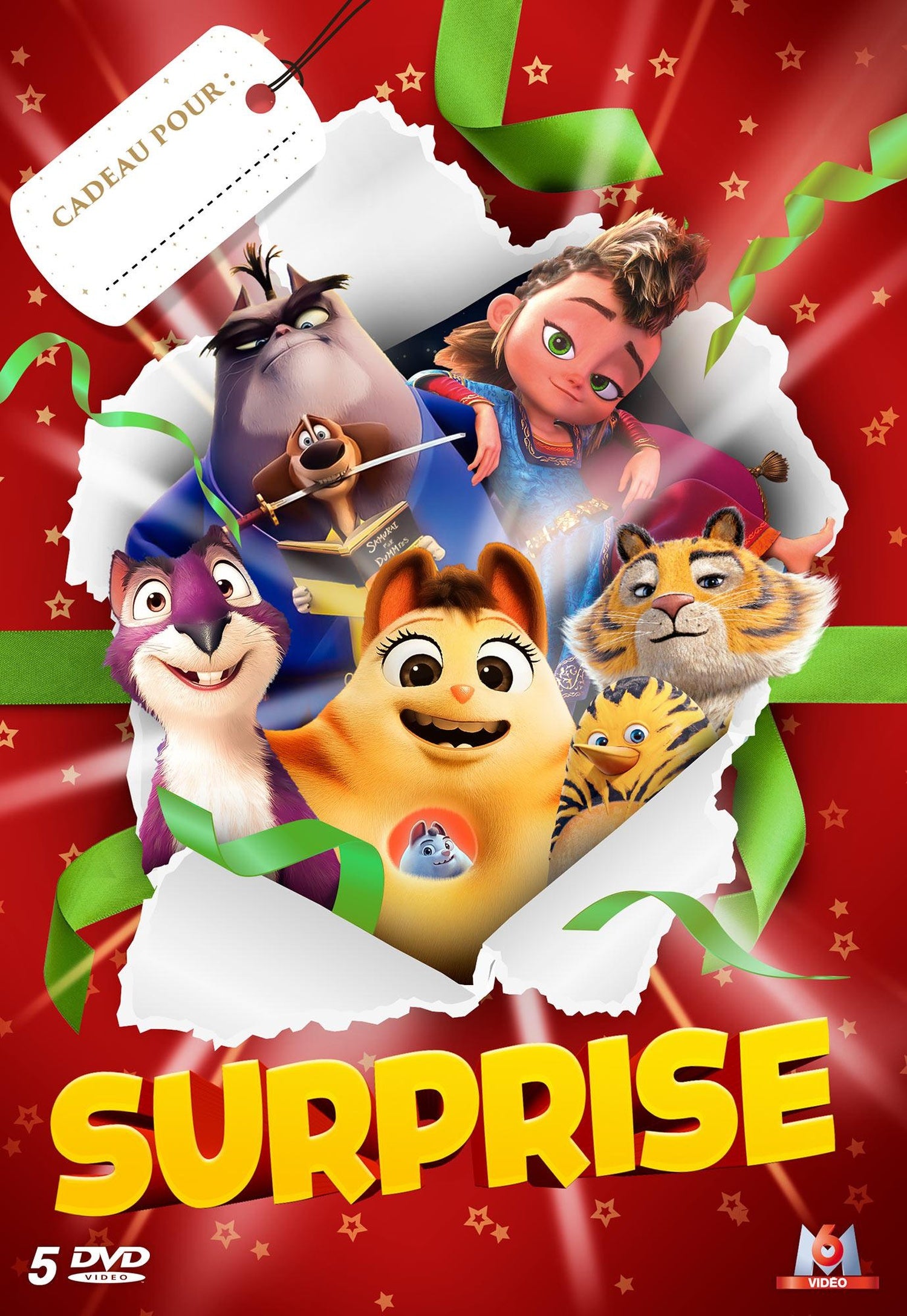 Surprise - Coffret : Samouraï Academy + Les Bouchetrous + Opération Casse-noisette + Pil + Les As de la Jungle [DVD]