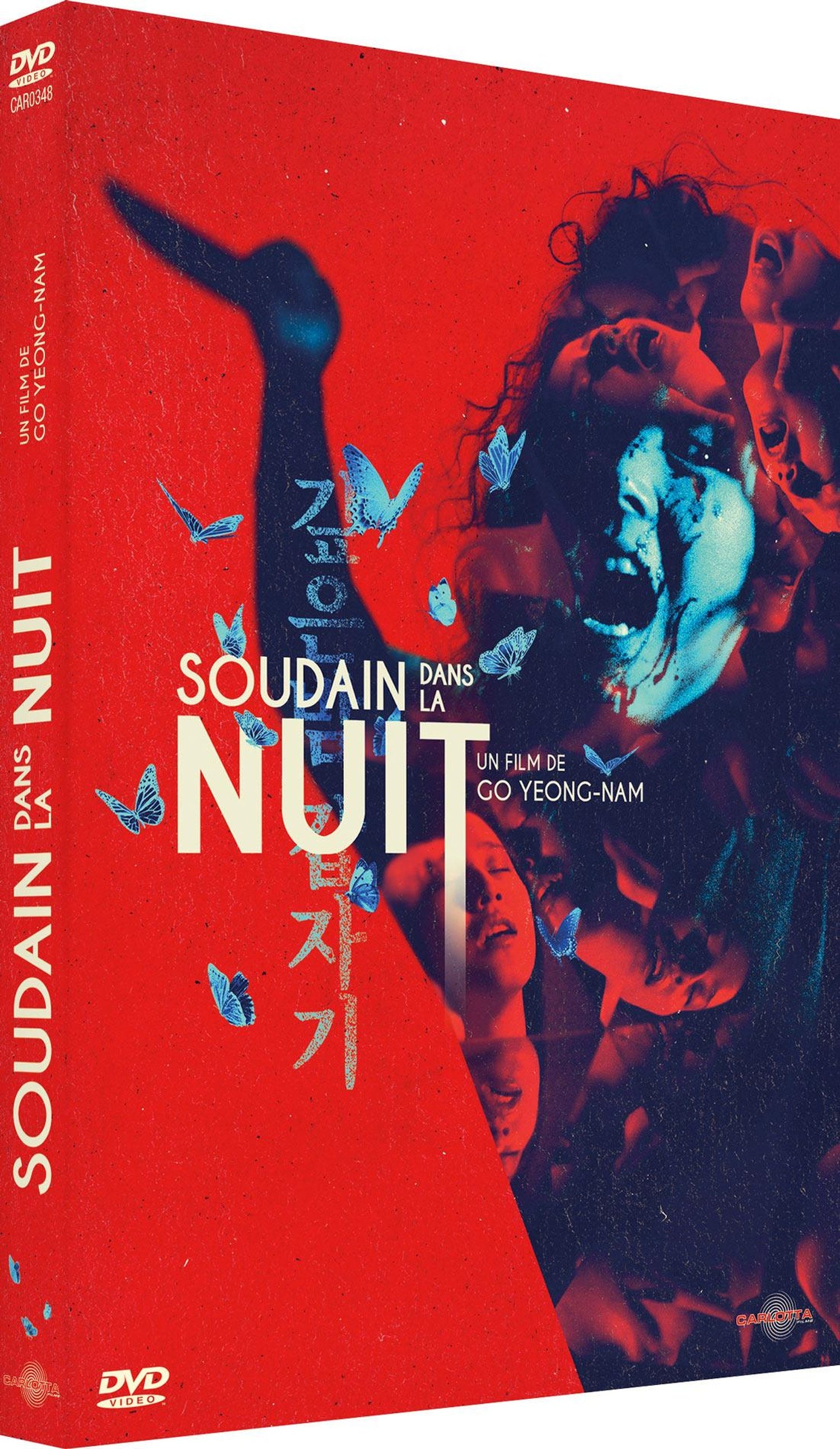 Soudain dans la nuit [DVD]